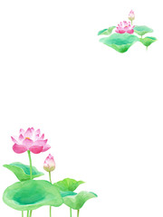 蓮の花の装飾白背景　水彩イラスト