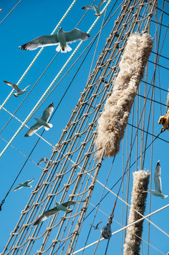 Marine ropes and rope ladder on the mast of the old sail ship.