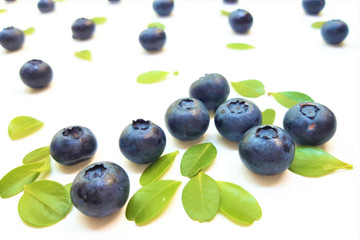 Fresh blueberries and leaves, berry ornament frame on white background, closeup, top view