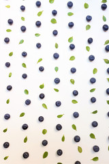 Fresh blueberries and leaves, berry ornament frame on white background, closeup, top view