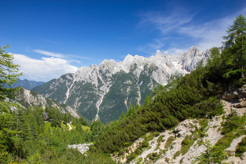 Fototapeta premium Summer in the Triglav National Park, Slovenia