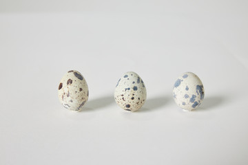 うずら　卵　白バック　