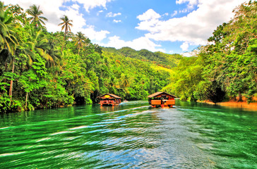 The Loboc River  -  a river in the Bohol province of the Philippines. - obrazy, fototapety, plakaty