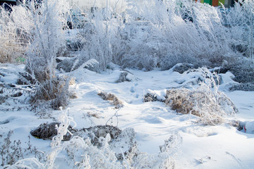Fototapeta na wymiar frosted trees and grass and heavy snow in winter park as in fairy tales