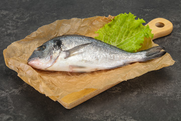 Raw Dorada fish  for cooking