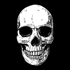 Illustration of human skull on dark background. Design element for poster, card, flyer, emblem, sign. Vector illustration