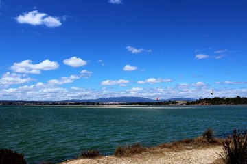 Réserve naturelle d'Alvor au Portugal dans les marais
