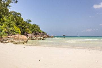 Beautiful beach with white sand and tree