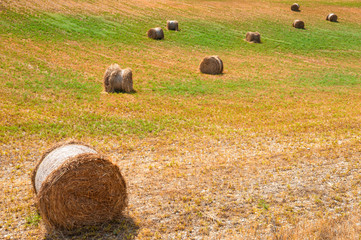 Hay bales in a field in Provence, France. Summer landscape