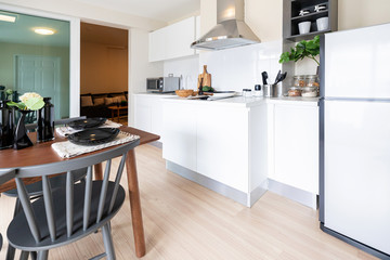 Modern kitchen interior with pantry cupboard, flower pot near the wash basin.