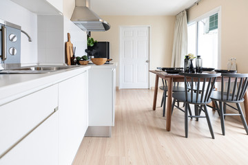 Modern kitchen interior with pantry cupboard, flower pot near the wash basin.
