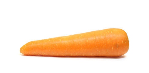 Carrot