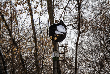Broken railway traffic light on an idle railway line