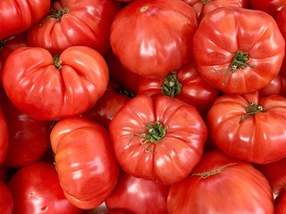 tomatoes on display at the market