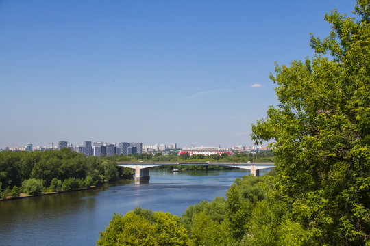 Summer landscape overlooking the Strogino Zaton, Moscow