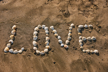 Fototapeta na wymiar The word love, collected from seashells, on a sandy beach.