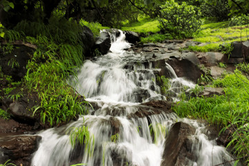 Beautiful waterfall in jungle