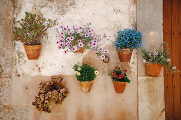 Fototapeta na wymiar Wall decorated with flower pots. Valldemossa, old town. Close up of Wall with flower pots in popular toridt destination in Spain