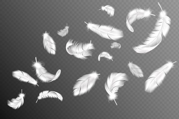 Flying feathers. Falling twirled fluffy realistic white swan, dove or angel wings feather flow, soft birds plumage vector collection