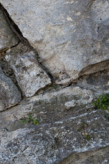 vertical stone panel old cracked wall rock weathered green grass growing