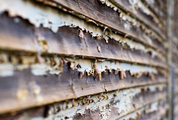 Paint is peeling off wooden planks used to build the wall of a house