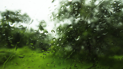 Rain drops on glass window
