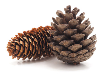 Two pine cones.