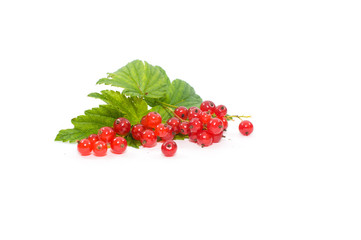 red currant berries on a white background