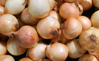 Background of organic onions. use for backdrop or design
