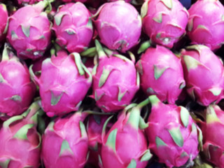 Obraz premium Blurred background of dragon fruits