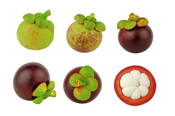 Fototapeta na wymiar set of mangosteen fruit isolated