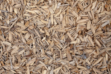 a floor made of sawdust, wood chips