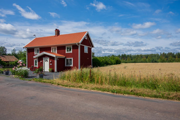 Fototapeta na wymiar Lovely house by the wheat field in Visingsö, Sweden
