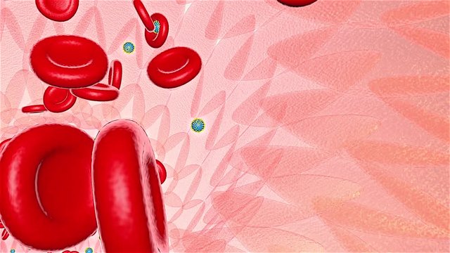 Red blood cell and HIV virus flow in vein