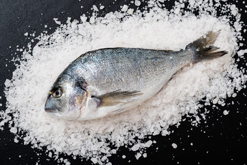 Raw fresh organic dorado or sea bream on sea salt on black stone  background.