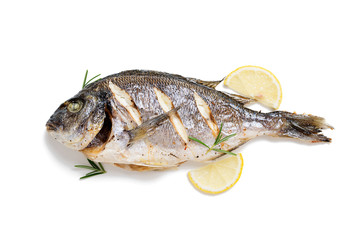 Baked fish dorado. Sea bream or dorada fish grilled. isolated on white background