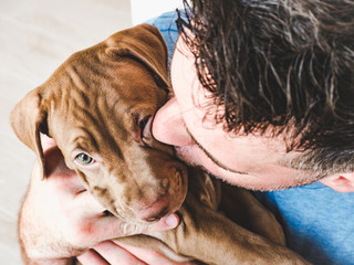 Handsome man and young, charming puppy. Close-up,view from above, white isolated background. Studio photo. Concept of care, education, training and raising of animals