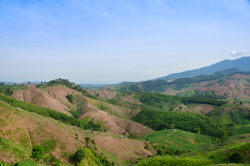 Fototapeta na wymiar Mountain green landscape, agriculture on mountain with blue sky.