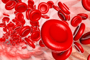 Red blood cell flow in vein, 3D Render