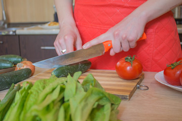Woman hands cutting vegetables in the kitchen. Preparing dishes. Woman in kitchen preparing vegetables