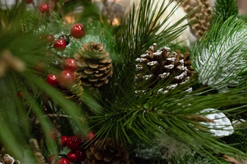 furry pine long needles holly berries red big bump brown close-up winter design