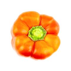 big juicy orange red pepper paprika the top of the stem on a white background