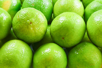 Many fresh limes on white background.