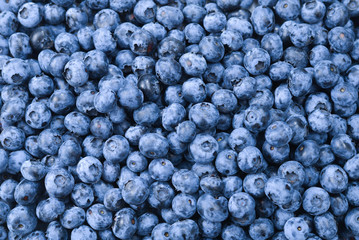 Fresh blueberry background. Texture blueberry berries close up.