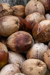 many fresh coconut vertical pattern base tropical light brown background