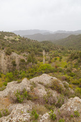 Paphos forest park aerial view. Cyprus