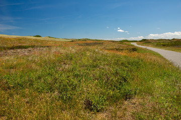 Obraz premium Dünenlandschaft