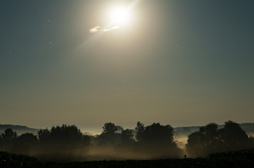 Moon and fog in the forest 
