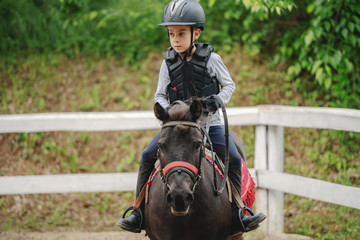 Playful little jockey boy riding adorable pony at sunny day on ranch.