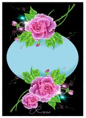 Pink rose on black and blue background